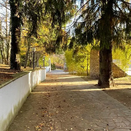Luxusvilla 46 Waldsee Villa *