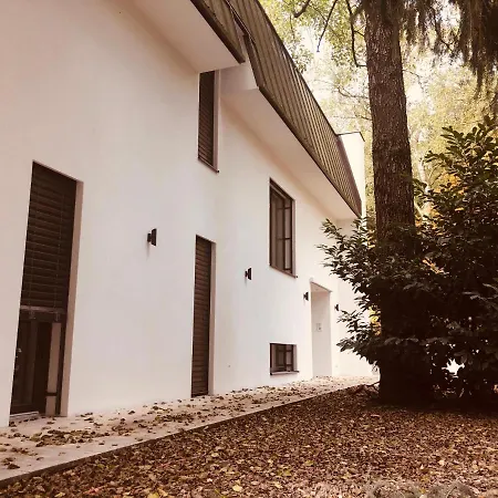 Luxusvilla 46 Waldsee