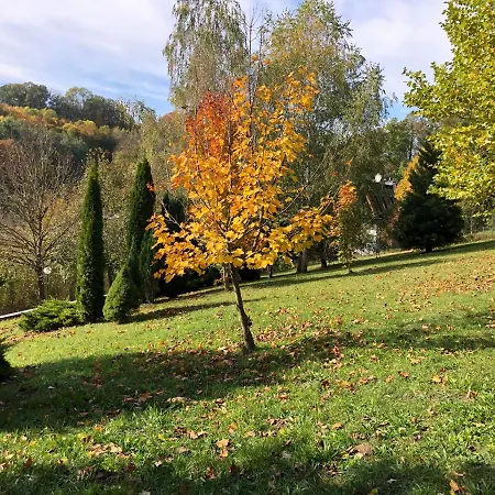 Villa Luxusvilla 46 Waldsee *